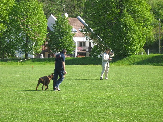 www.atibox.net * www.euroboxer.eu * www.boxergenealogia.eu
